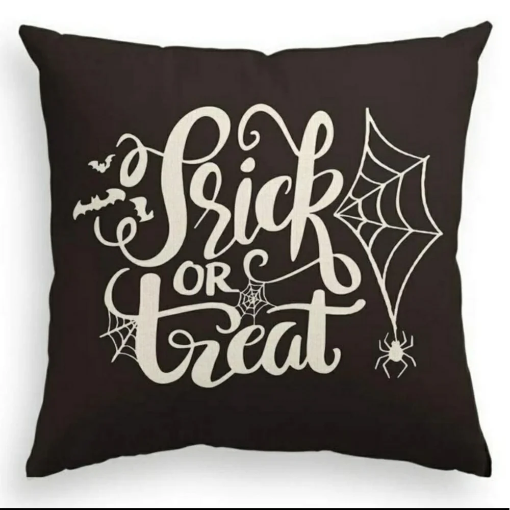 Halloween Pillow Cover • Black  & Ivory Spider Web Trick or Treat • 18 X 18